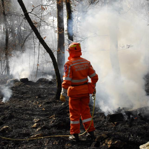 Incendio boschivo Monrupino-Trieste n. 18 / 77016