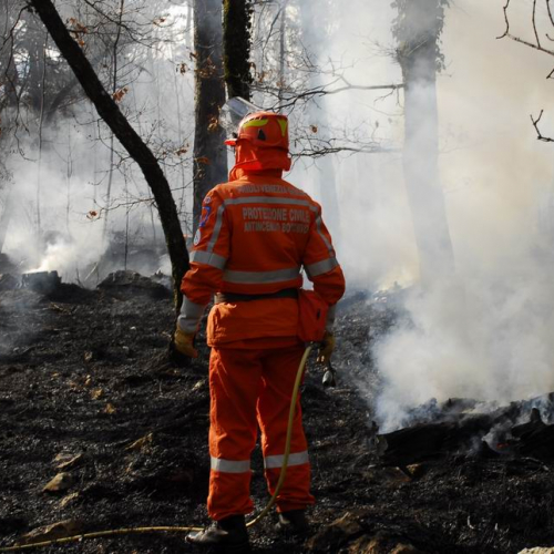 Incendio boschivo Monrupino-Trieste n. 19 / 77017