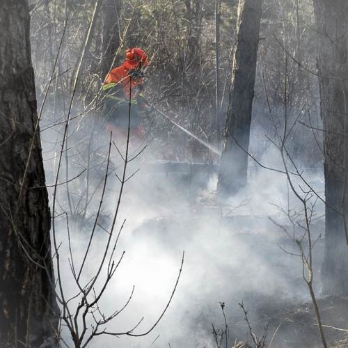 Incendio boschivo Monrupino-Trieste n. 20 / 77018