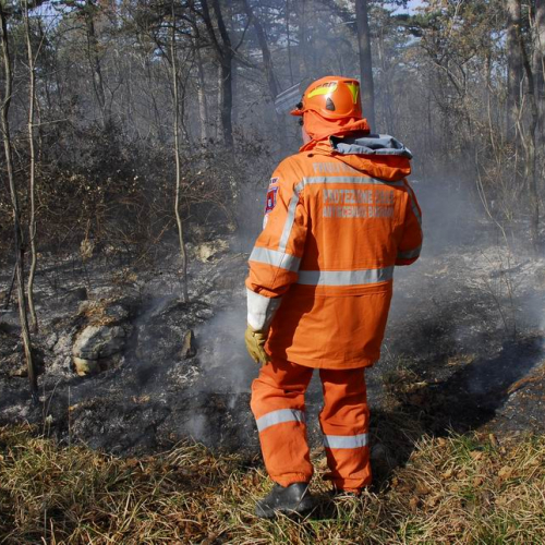 Incendio boschivo Monrupino-Trieste n. 22 / 77020