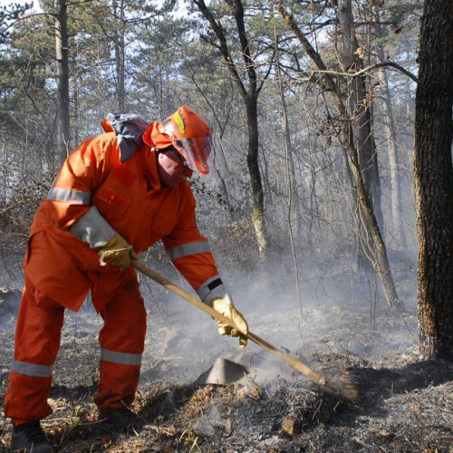 Incendio boschivo Monrupino-Trieste n. 24 / 77022