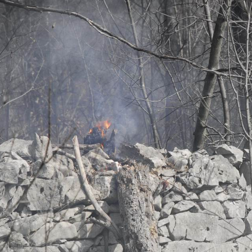 Incendio boschivo Monrupino-Trieste n. 27 / 77025