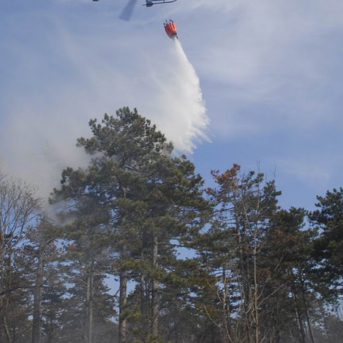 Incendio boschivo Monrupino-Trieste n. 28 / 77026