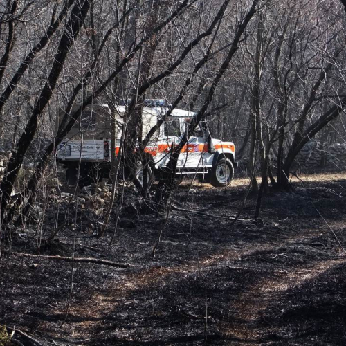 Incendio boschivo Monrupino-Trieste n. 36 / 77034
