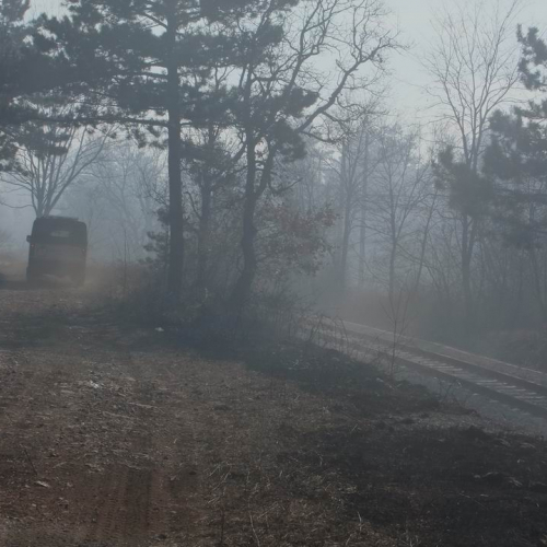 Incendio boschivo Monrupino-Trieste n. 37 / 77035