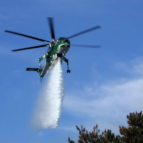 Incendio boschivo Monrupino-Trieste n. 38 / 77036