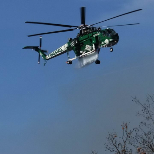 Incendio boschivo Monrupino-Trieste n. 42 / 77040