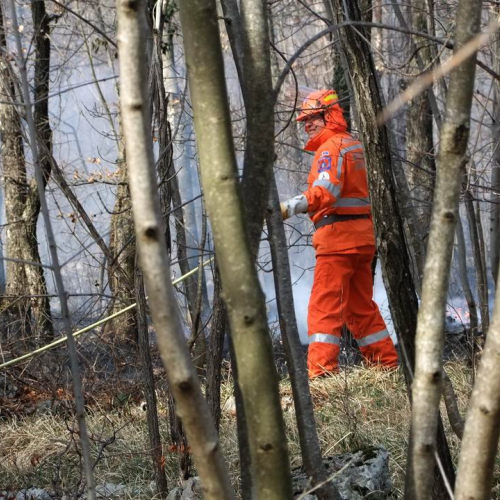 Incendio boschivo Monrupino-Trieste n. 43 / 77041