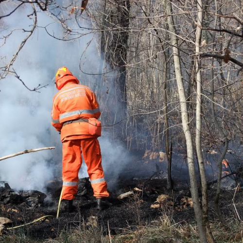Incendio boschivo Monrupino-Trieste n. 44 / 77042