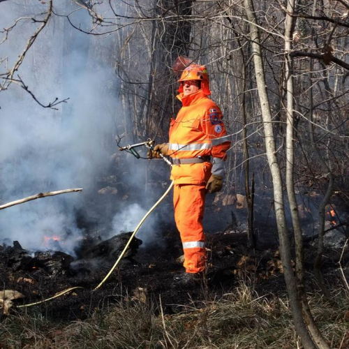 Incendio boschivo Monrupino-Trieste n. 45 / 77043