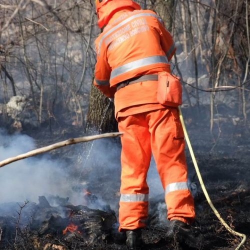 Incendio boschivo Monrupino-Trieste n. 46 / 77044