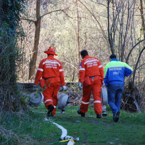 Invillino 2010 n. 16 / 50195