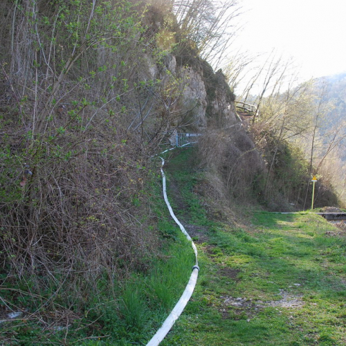 Invillino 2010 n. 17 / 50196