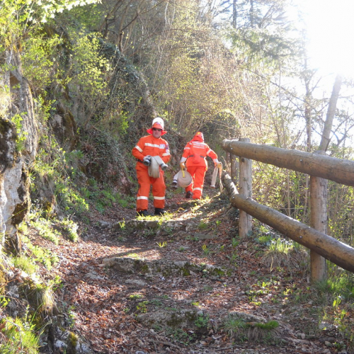 Invillino 2010 n. 19 / 50198