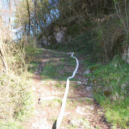 Invillino 2010 n. 21 / 50200