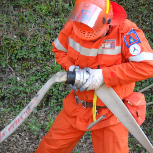 Invillino 2010 n. 22 / 50201