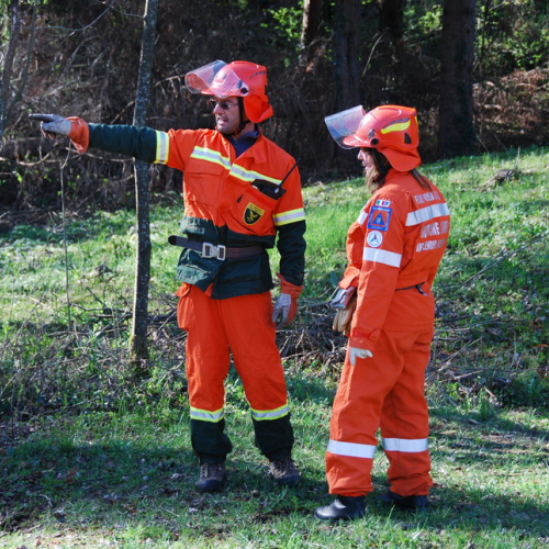 Invillino 2010 n. 30 / 50209