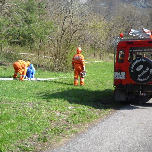 Invillino 2010 n. 35 / 50214