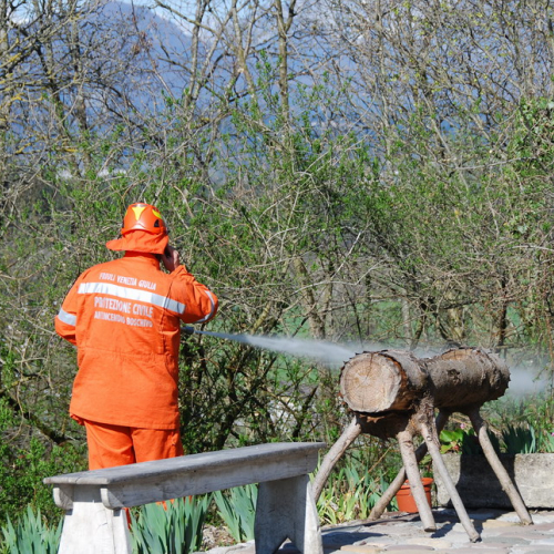 Invillino 2010 n. 38 / 50217