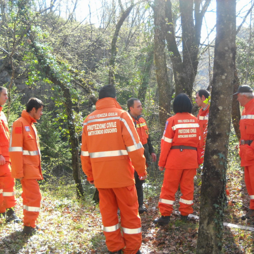 Invillino 2010 n. 39 / 50218