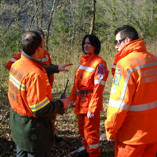 Invillino 2010 n. 40 / 50219