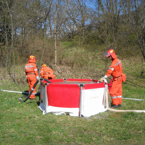 Invillino 2010 n. 42 / 50221