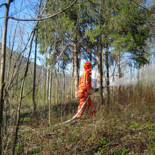 Invillino 2010 n. 43 / 50222