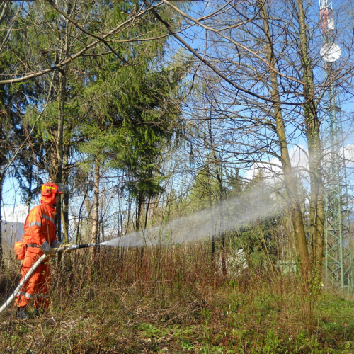 Invillino 2010 n. 44 / 50223