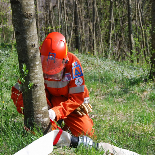 Invillino 2010 n. 45 / 50224