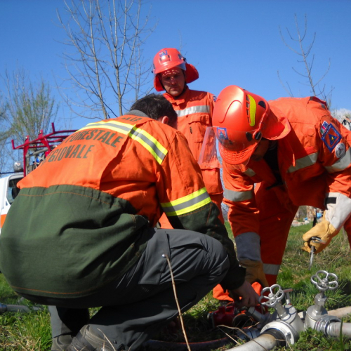 Invillino 2010 n. 46 / 50225