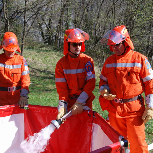 Invillino 2010 n. 49 / 50228