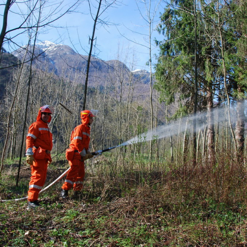 Invillino 2010 n. 54 / 50233