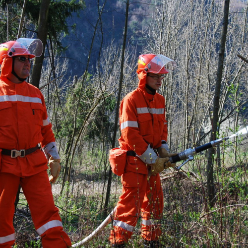 Invillino 2010 n. 55 / 50234