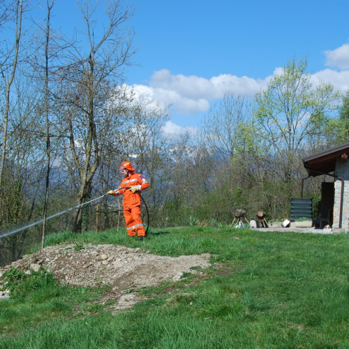 Invillino 2010 n. 58 / 50237