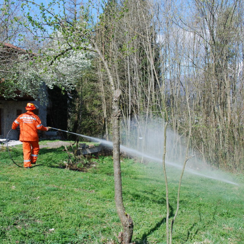 Invillino 2010 n. 59 / 50238