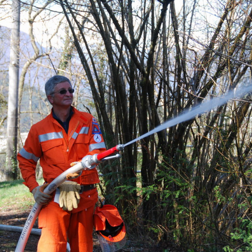 Invillino 2010 n. 60 / 50239