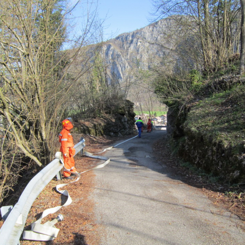 Invillino 2010 n. 64 / 50243