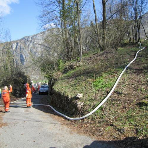 Invillino 2010 n. 65 / 50244