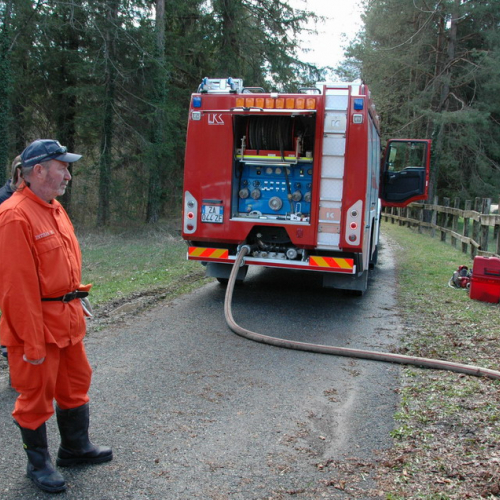 Invillino 2010 n. 66 / 50245