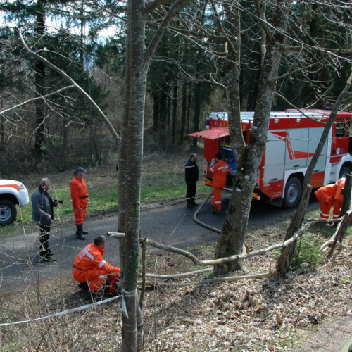 Invillino 2010 n. 67 / 50246