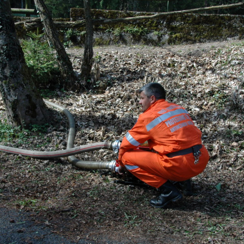 Invillino 2010 n. 69 / 50248