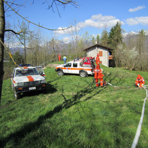 Invillino 2010 n. 70 / 50249