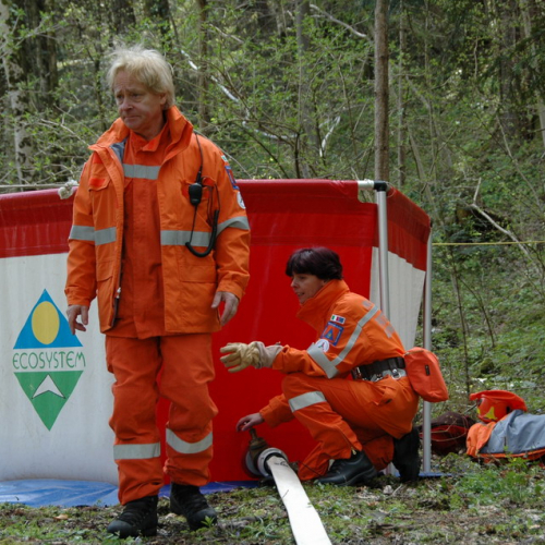 Invillino 2010 n. 72 / 50251