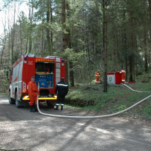 Invillino 2010 n. 73 / 50252