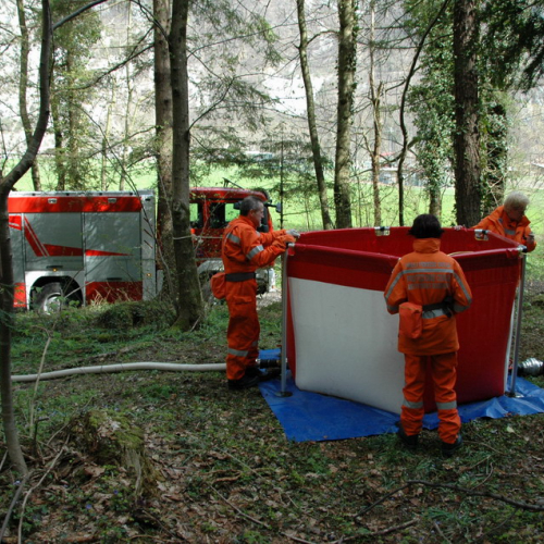 Invillino 2010 n. 74 / 50253