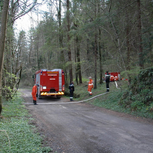 Invillino 2010 n. 75 / 50254