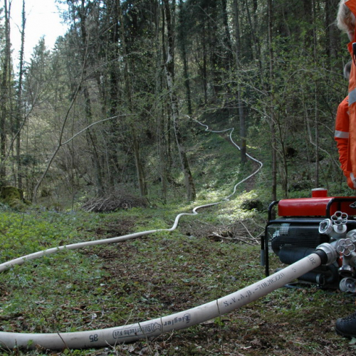 Invillino 2010 n. 76 / 50255