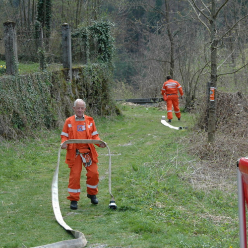 Invillino 2010 n. 77 / 50256