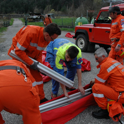 Invillino 2010 n. 81 / 50260