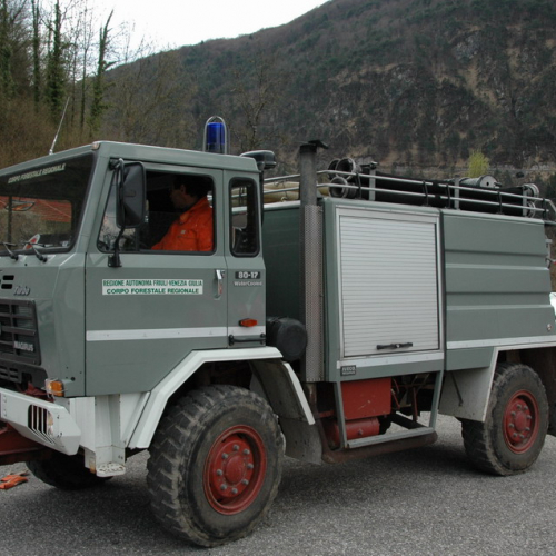 Invillino 2010 n. 86 / 50265